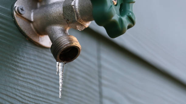 Best Emergency Plumber  in Edwardsburg, MI