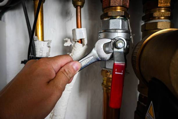 Best Pipe Repair Near Me  in Edwardsburg, MI